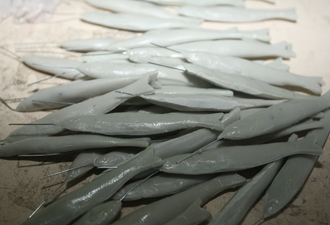 Hamsinin de çakması çıktı !