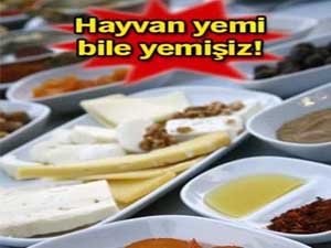 Hayvan yemi bile yemişiz..!