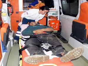 Çılgına dönen kadın dehşet saçtı !