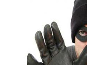 Gümüşhane'de hırsızlık iddiası