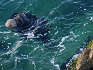 Göçmen gemisi battı deniz ölü kaynıyor !