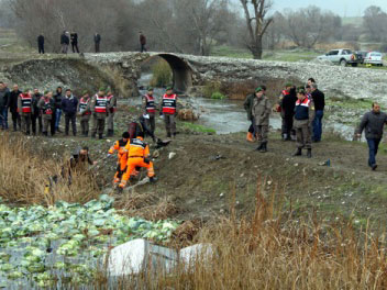 Lahana yüklü kamyonet gölete düştü