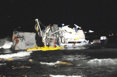 15 ton hamsi karaya vurdu