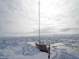 Öldürmedik sadece yedik...!