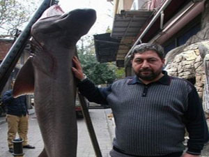 Köpek balığından sucuk yaptı...