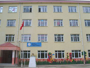 Giresun'da hırsızlar şaşkınlık yarattı