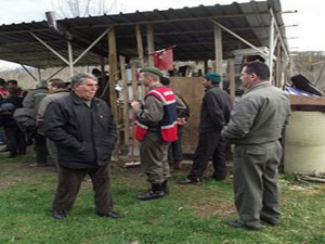 10 bin lira için değdi mi ?