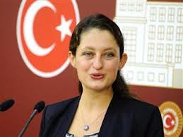 Ak Parti’den Pavey’e özür