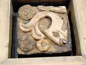 Polisler gözlerine inanamadı...