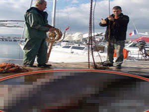 Balıkçılar şok oldu!