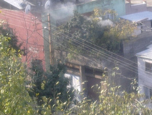 Trabzonlu'nun Yeşile Saygısı