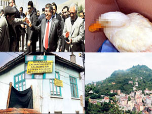 2012'nin en ilginç haberleri