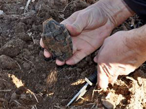 Yol kenarında 14 el bombası !