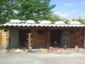 Kümeste teyzesine bunu yaptı !