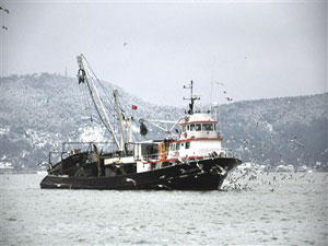 Hamsi açısından verimsiz bir sezon