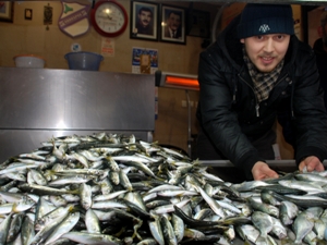 Ordu'da hamsi var ama...