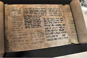 Polisten nefes kesen operasyon