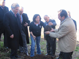 Trabzon'da çiftçilere fidan dağıtıldı