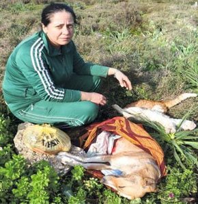 Cinayete kaza süsü verdiler!