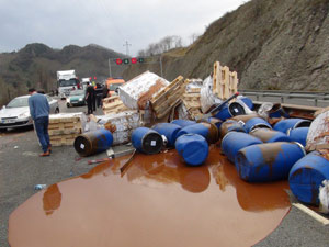 Trabzon'dan yola çıktı Ordu'da kaza yaptı