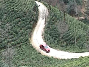 Rize'de  garip rekor denemesi