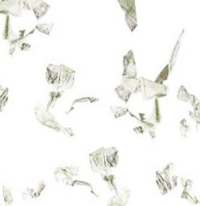 Akla hayale gelmeyecek dolandırıcılık!