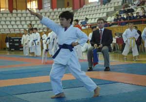 Milli dövüş Sayokan'a ilgi artıyor