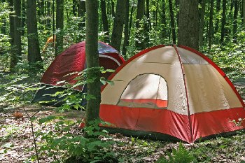 Kamp 5 gün sürecek...