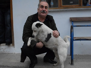 Hayvanseverin fedakarlığı