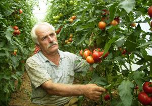 Trabzon'da Seracılar Güldü