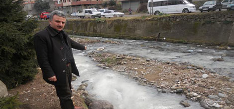 KALANİMA zehir akıyor!