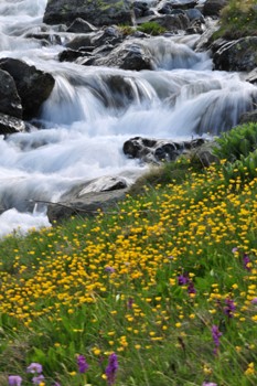Ziyaretçi sayısı 107 bin 54 kişiye ulaştı