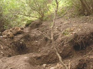 Trabzon'daki mahkumün ceset iddiası