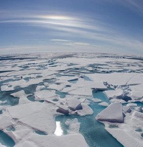 Felakete son 1,5 derece