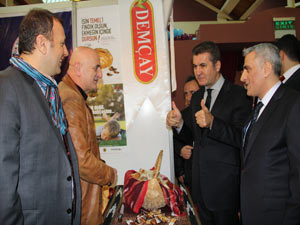 Mustafa Sarıgül, fındığa sahip çıktı