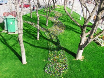 Trabzon çiçek açtı