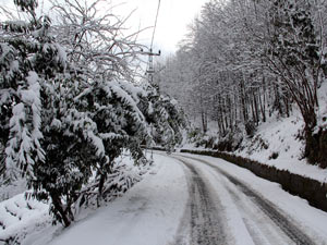 Rize'de kar yağışı hayatı olumsuz etkiledi