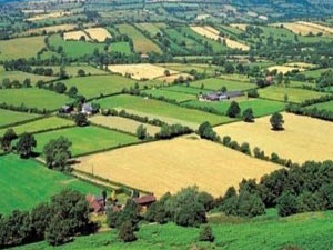 2B arazisi sahiplerine müjde