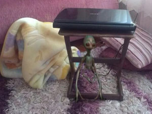 Bitlis'te uzaylı bulundu !