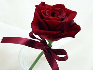 Dünya Kadınlar günü kutlu olsun