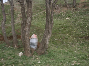 Hakkari'de 50 kilo patlayıcı!