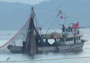 Karadeniz'de av sezonu verimsiz geçti