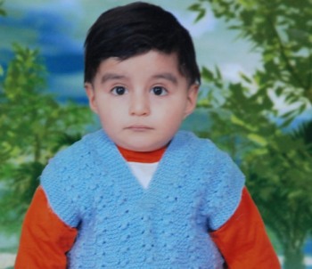 5 çocuk yedikleri ottan zehirlendiler