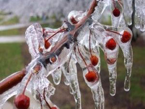 Don Gümüşhane'de zarara yol açtı
