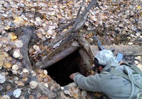Trabzon'daki TAYATLILARA ceza yağdı!
