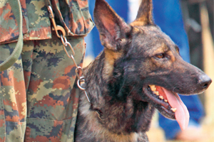 Tuzla Piyade Okulunda köpek skandalı