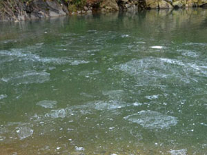 Rize'de dere ablukaya alındı!