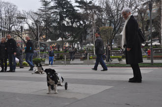 Trabzon’dan tüm dünyaya insanlık dersi