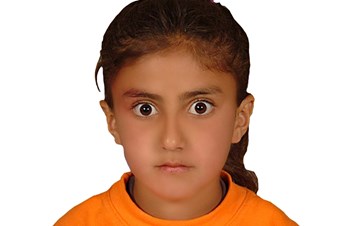 Subaşı yargılanmasına izin çıktı