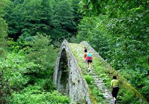 Doğu Karadeniz'de İşbirliği